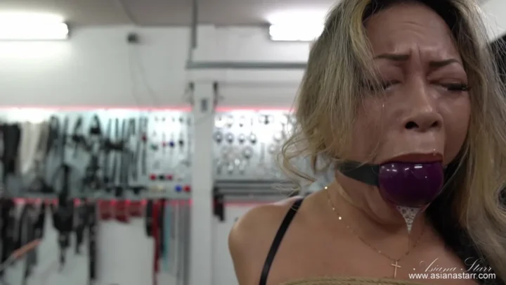 Constrained Pleasure – Dildo Penetration and the Mastery of Domination