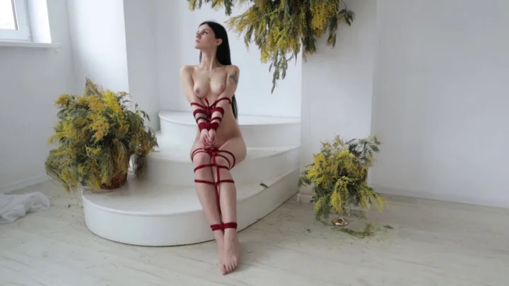 Red Rope Shibari – Barbis Artistic Pose