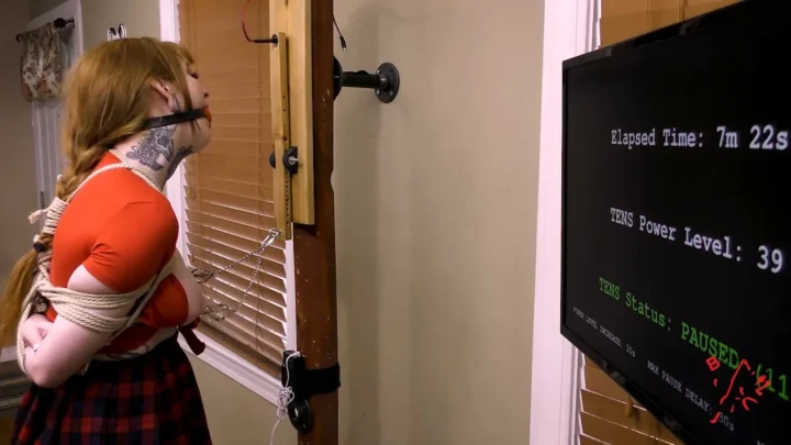 Computer-Controlled Electricity – Bellas Struggle