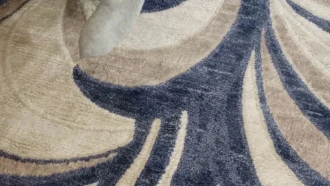 Dakkotas Prolonged Visit Ends in an Unconventional Slumber with a Special Beverage Ingredient