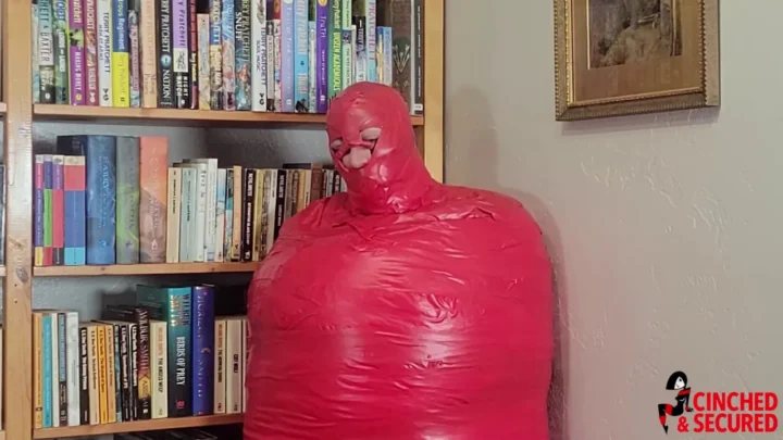 From Boss Lady to Blanketed Captive – The Unprecedented Fall of a Feared Office Figure.