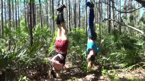 Entangled – Lexi’s Unsuccessful Bid for Freedom