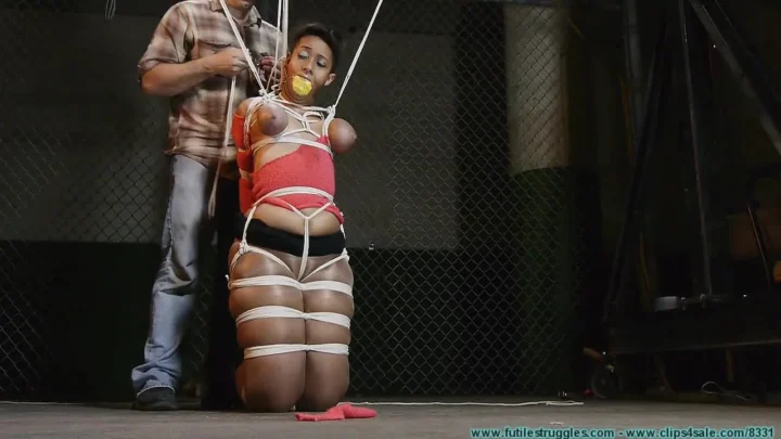 Busty Dani Hogtied with Crotchrope and Sponge Gag