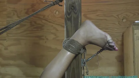 Blonde MILF Amanda Foxxs Busty Encounters