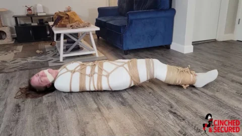 The Mummys Plea – A Chilling Abduction by a Jilted Lovers Twisted Design