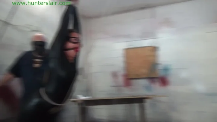 The Alluring Battle – Delving into Restraint in ‘The Black Cat’