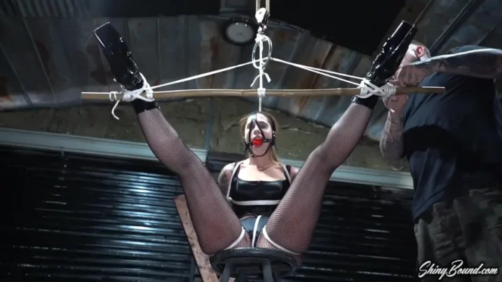 Fishnet Stockings and Satin Corset in Domination