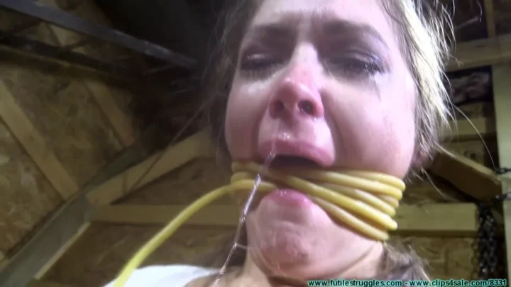 Struggles of a Damsel – Green-Shirted Mans Torment