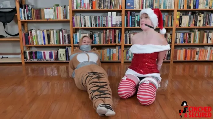 Tied Up for the Holidays – A Festive Photo Opportunity