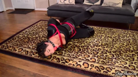 Sahryes Breathtaking Curves in Lycra Catsuit