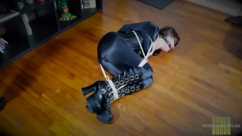 Cat Burglar Raquels Perilous Predicament