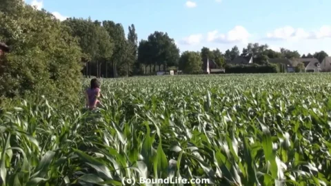 Brunette Bound Walk Open Cornfield Day