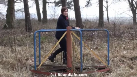 Collar Visible During Playground Visit