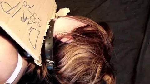 Cardboard Prison for Metal-Bound Redhead