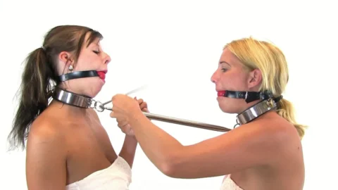 Brunette And Blonde Forced Close By Spreader Collar